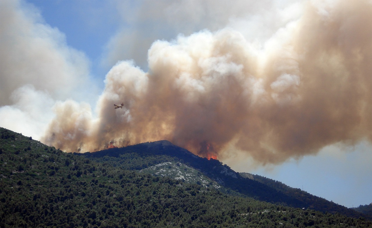 горски пожар, огън, дим-1826204.jpg